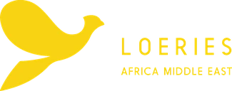 The Loeries